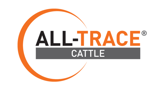 ALL-TRACE CATTLE