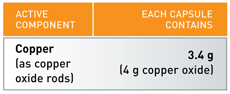 24.7 COPPER SHEEP