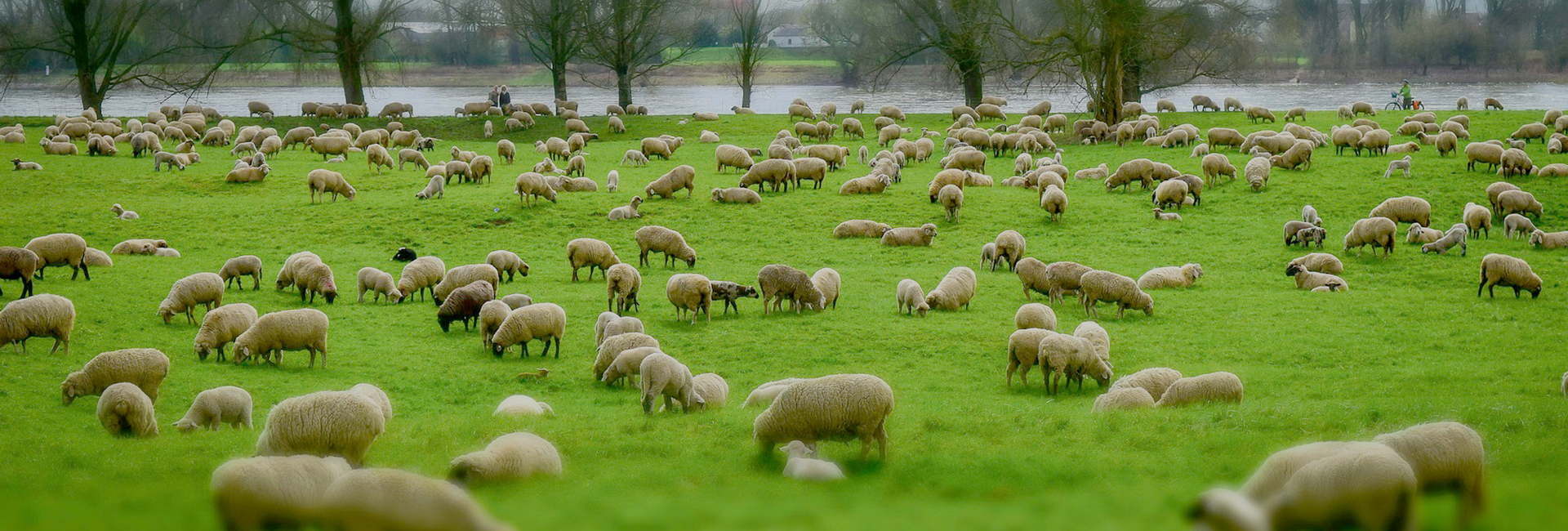 Customer network spanning over 30 countries