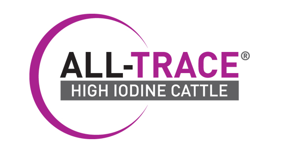 ALL-TRACE High Iodine