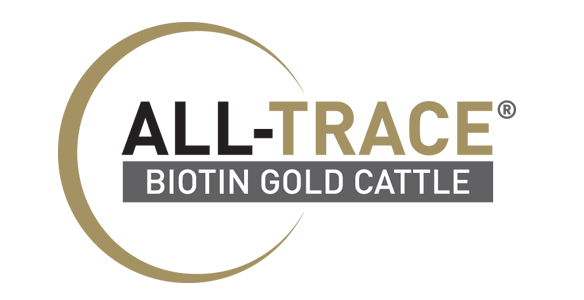 ALL-TRACE BIOTIN GOLD