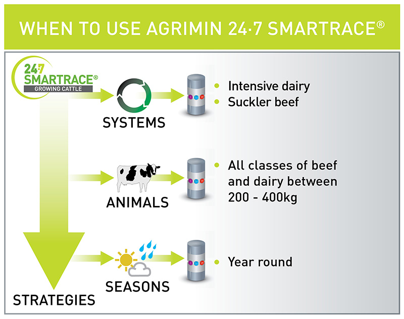 Smartrace 247 Growing Cattle