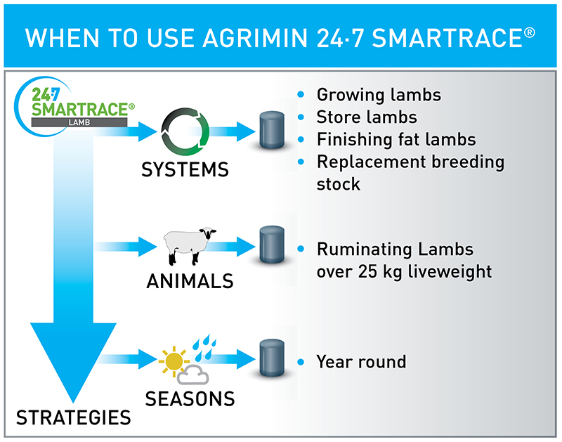 SMARTRACE LAMB