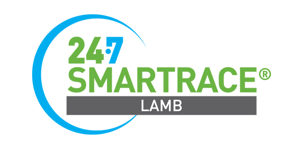 SMARTRACE LAMB