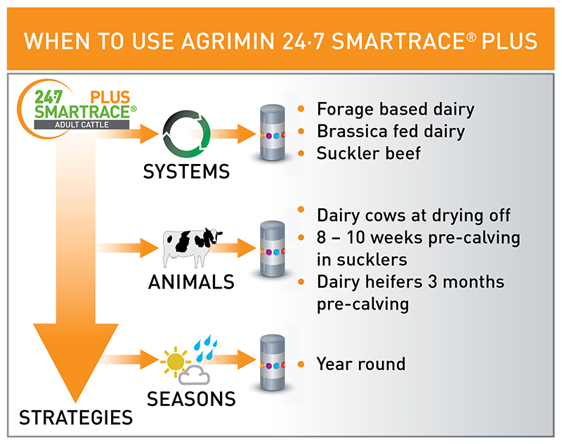 SMARTRACE PLUS ADULT CATTLE