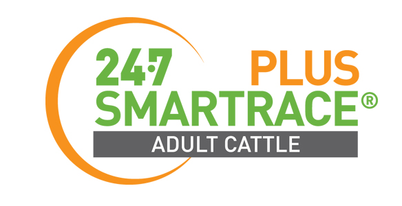 SMARTRACE PLUS ADULT CATTLE