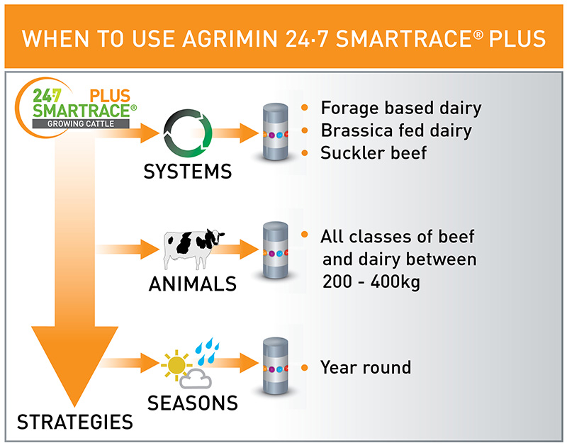 SMARTRACE PLUS GROWING CATTLE