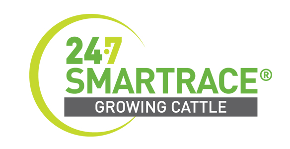 Smartrace 247 Growing Cattle