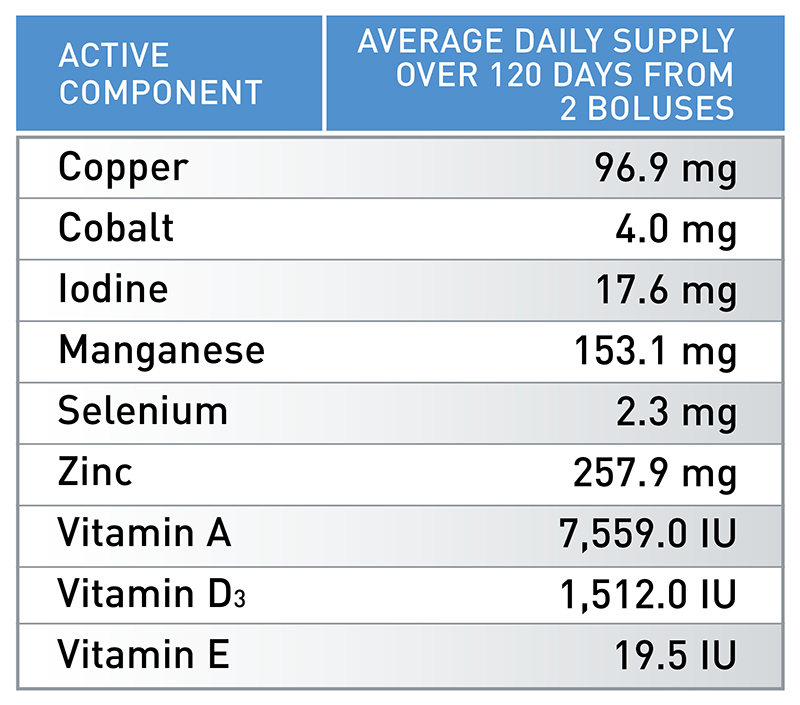 ALL-TRACE DRY COW