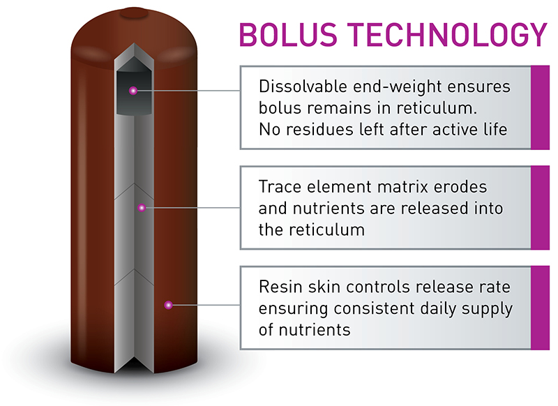 ALL-TRACE High Iodine