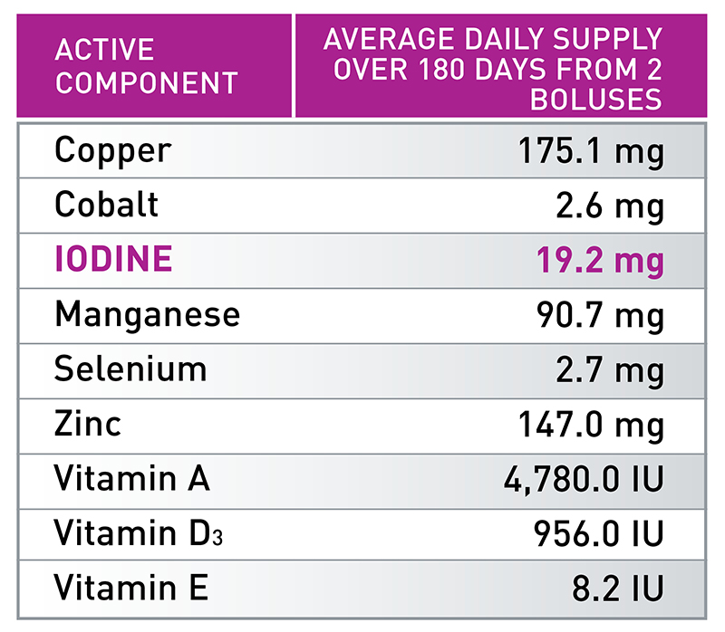 ALL-TRACE HIGH IODINE CATTLE