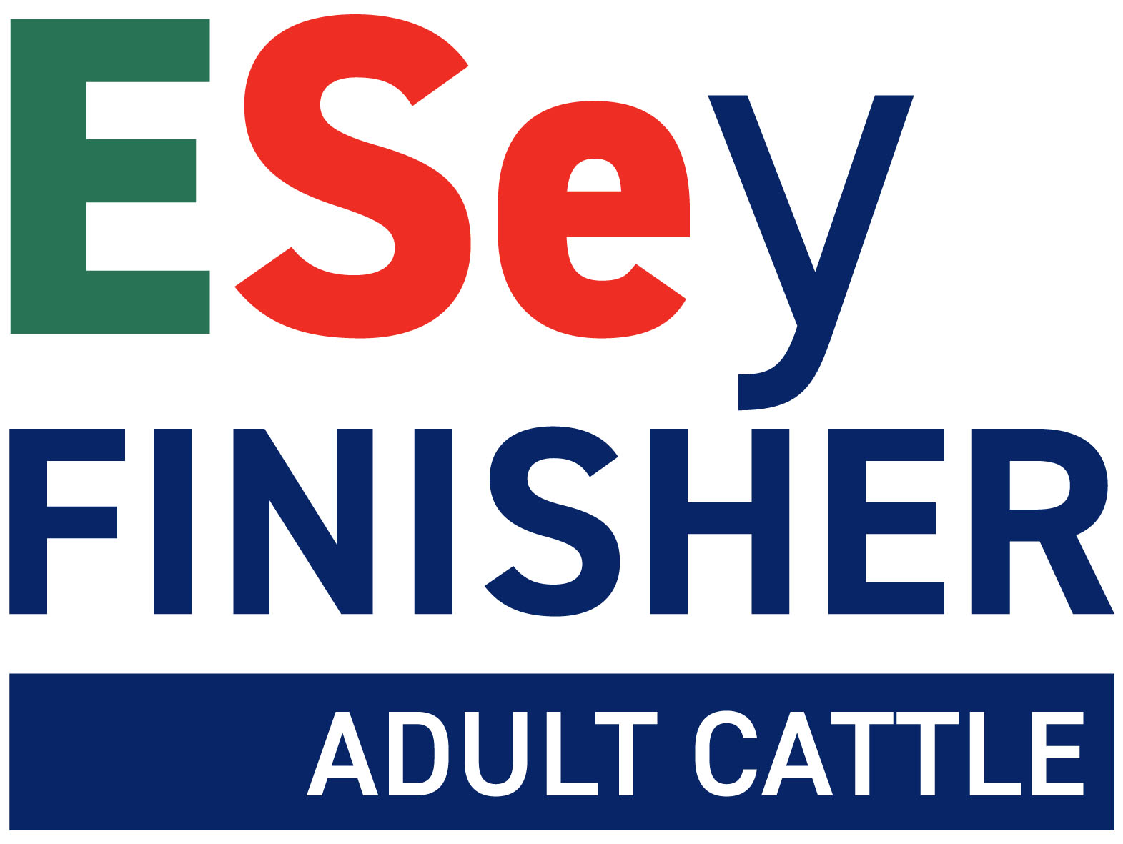 Beef Cattle ESey FINISHER ADULT CATTLE