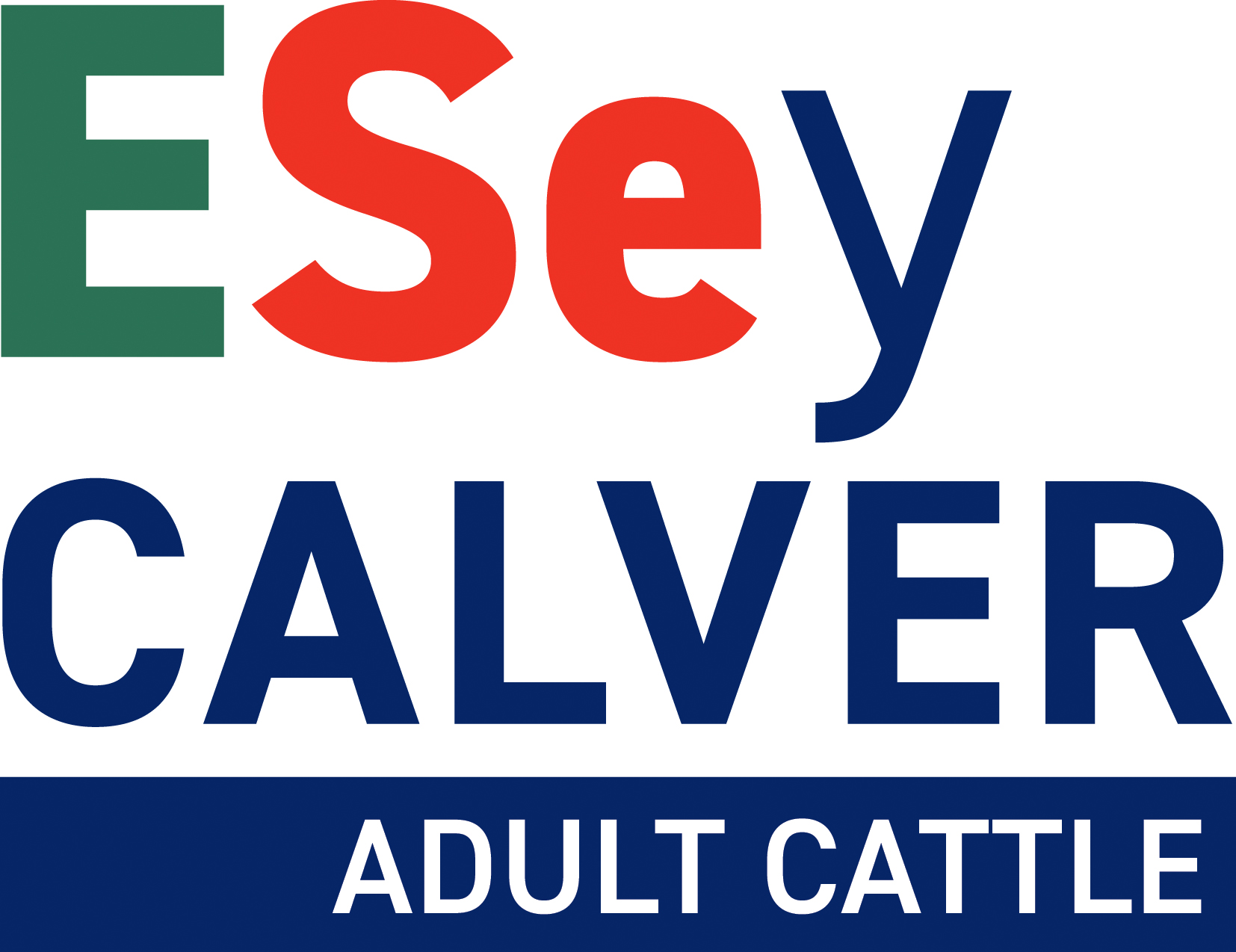 Dairy Cattle ESey CALVER ADULT CATTLE