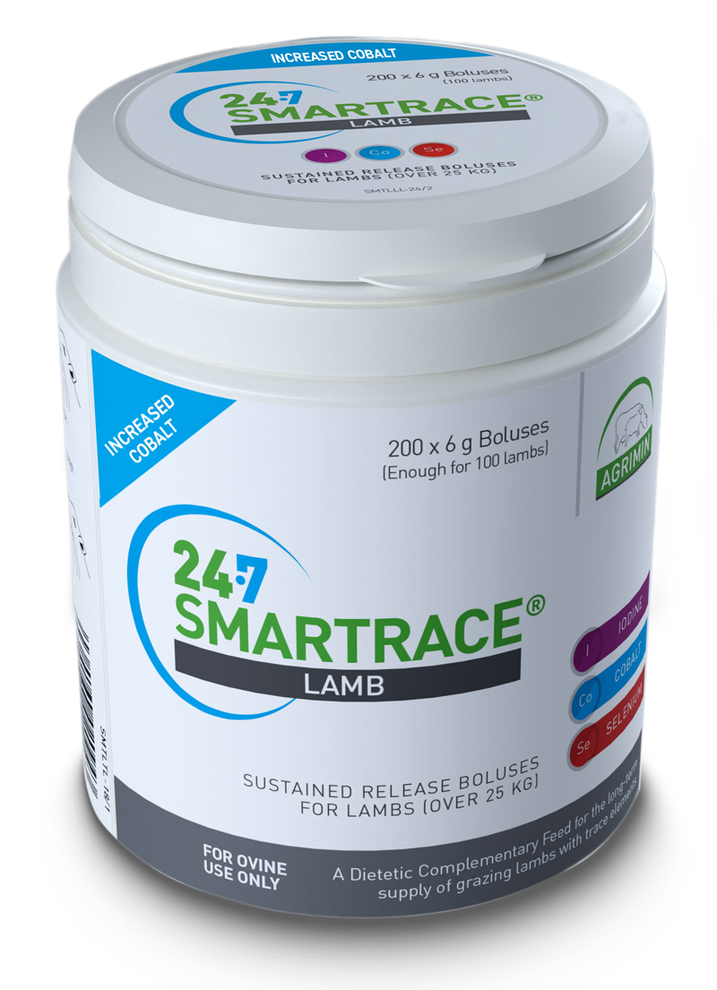 SMT LAMB