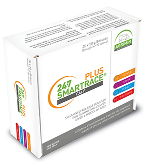 24·7 SMARTRACE® PLUS CALF